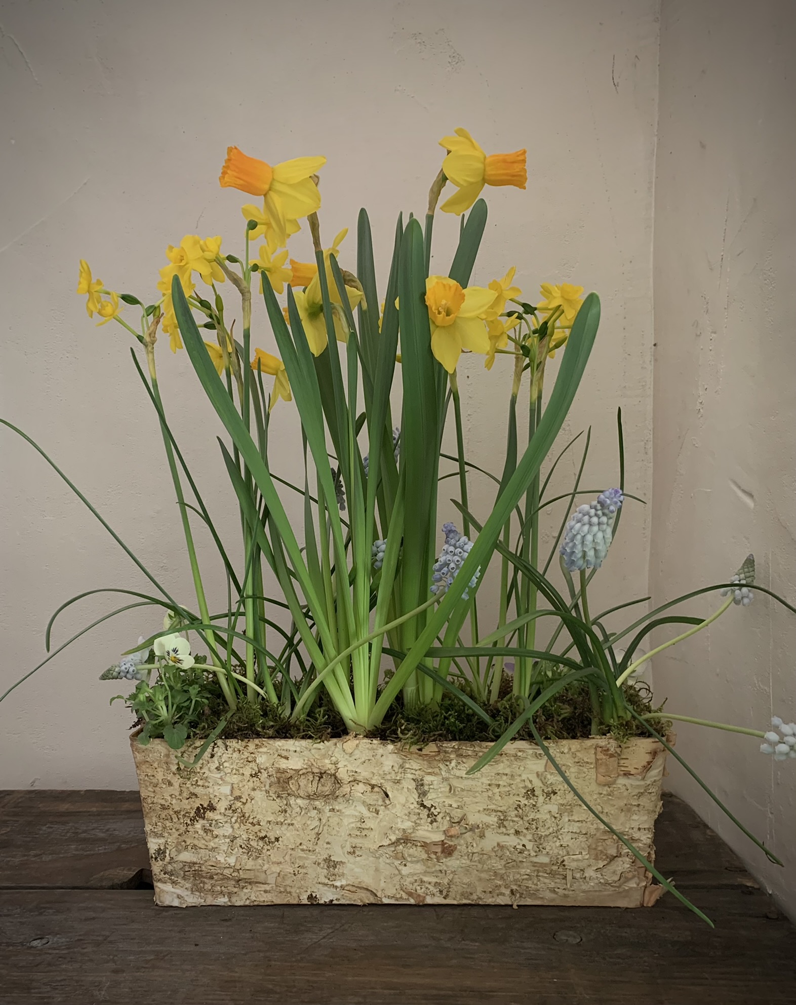 bright tulips and poppies