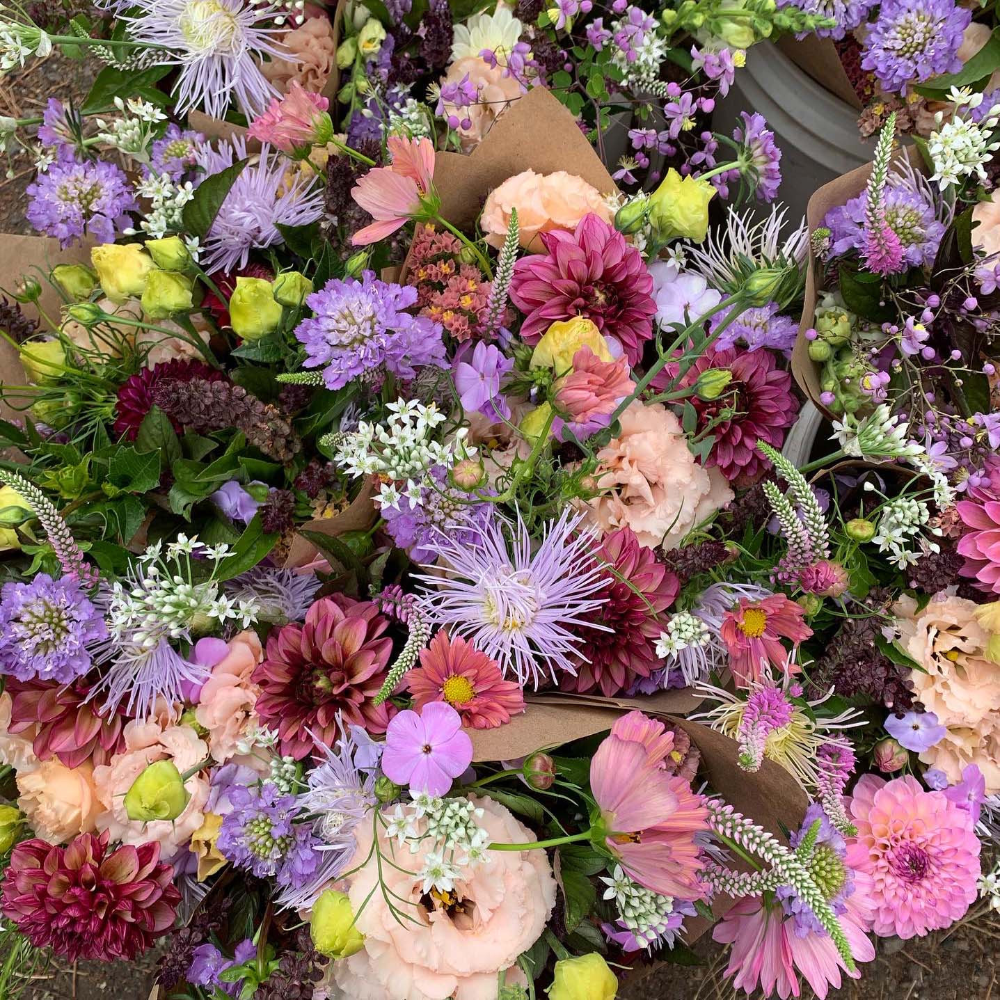 spring bouquet subscription